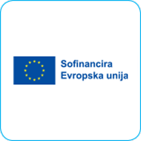 Evropska unija